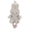 Image de boîte à musique miffy - lucky blossom