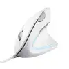 Image de Trust VERTO WIRED ERGO MOUSE WHITE