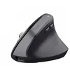 Image de Trust Bayo+ Souris Ergonomique sans Fil Bluetooth + RF 2.4GHz, Noir en occasion ou reconditionné