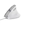 Image de Souris - - Bayo II Blanc