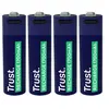 Image de - Batterie - USB-C + batterie 4 x type AA - (rechargeables) - 1700 mAh - bleu
