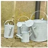 Image de Arrosoir en zinc patiné - 1,5 l