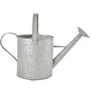 Image de Arrosoir en zinc patiné Hove 3.5 litres