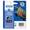Image de tortue T1572 Cyan XL
