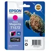 Image de tortue T1573 Magenta XL