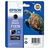 Image de tortue T1578 noir mat