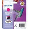 Image de Epson - Magenta - C13T08034011