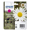 Image de PAQUERETTE T1813 XL MAGENTA