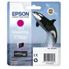 Image de T7603 ORQUE MAGENTA