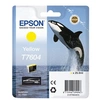 Image de T7604 ORQUE JAUNE