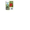 Image de Epson 29XL - 6.4 ml - XL - cyan - original - cartouche d'encre - pour Expression Home XP-235, 245, 247, 332, 335, 342, 345, 432, 435, 442, 445