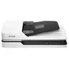 Image de WorkForce DS-1630 Scanner Recto-verso A4 1200 x 1200 dpi 25 pages / minute, 10 images / minute USB 3.2 (1è gén.) (USB 3.0)