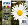 Image de PACK PAQUERETTE 4CL