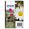 Image de PAQUERETTE T1813 XL MAGENTA