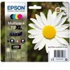 Image de PACK PAQUERETTE 4 COULEURS XL