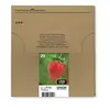 Image de Multipack 29 EasyMail - Pack de 4 - noir, jaune, cyan, magenta - original - blister - cartouche d'encre - pour Expression Home XP-245, 247, 255, 257,