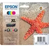 Image de PACK ETOILE DE MER 4 COULEURS Xl