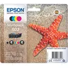 Image de PACK ETOILE DE MER 4 COULEURS