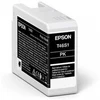 Image de Epson Singlepack Photo Black T46S1 UltraChrome