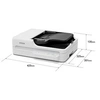 Image de WorkForce DS-1730 - Scanner de documents - Recto-verso - 215.9 x 3048 mm - 1200 dpi x 1200 dpi - jusqu'à 30 ppm (mono) / jusqu'à 30 ppm (couleur) -