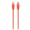 Image de - Cordon de raccordement - RJ-45 (M) pour RJ-45 (M) - 2 m - UTP - CAT 5e - moulé - orange