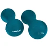 Image de Avento Haltère 1kg Weight 2 Units