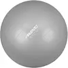 Image de Ballon d'entraînement et de gymnastique Avento Gris 75 cm 42OC-SLV