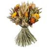Image de - Kit création bouquet fleurs séchées DIY orange