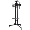 Image de Chariot TV Neomounts PLASMA-M1700E 81,3 cm (32) - 139,7 cm (55)