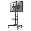 Image de Neomounts by Newstar Select NM-M1700 - Chariot - pour Ecran LCD - noir - Taille d'écran : 32"-75" - Noir