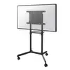 Image de NewStar NewStar Mobile Flat Screen Floor Stand