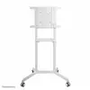 Image de Chariot TV NS-M1250WHITE 94,0 cm (37) - 177,8 cm (70) rotatif, inclinable, support sur pied