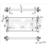 Image de Radiateur, Refroidissement Du Moteur 709-0020-R Tyc Tyc 7090020r Citroen;Fiat;Peugeot