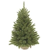 Image de Sapin de Noël artificiel Triumph Tree Forest frosted Vert Plastique H90xl62xL62cm