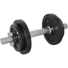 Image de Tunturi Kit De Poids 10kg
