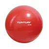 Image de Tunturi Fitball Gym Ball