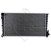 Image de Radiateur, Refroidissement Du Moteur Easy Fit Nrf 509510 Citroen;Peugeot