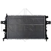 Image de Radiateur, Refroidissement Du Moteur Easy Fit Nrf 55351 Opel;Vauxhall