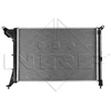 Image de Radiateur, Refroidissement Du Moteur Easy Fit Nrf 53969