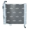 Image de Radiateur Nrf 550162 Jaguar
