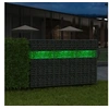 Image de Roches de jardin en verre vert 60-120 mm 25 kg -