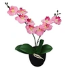 Image de Plante artificielle avec pot Orchidée 30 cm Rose