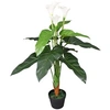 Image de Kunst calla lelie plant met pot 85 cm wit244445