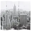 Image de Kamerscherm New York bij daglicht 200x170 cm zwart en wit245859
