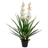 Image de Kunstplant met pot cymbidium orchidee 100 cm groen245952
