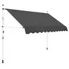 Image de Auvent manuel rétractable 250 cm Anthracite