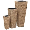 Image de Lits surélevés 3 pcs Jacinthe d eau Marron
