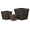Image de Lits surélevés de jardin 3 pcs Jacinthe d'eau Marron