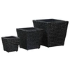 Image de Lits surélevés 3 pcs Jacinthe d'eau Noir45573