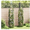 Image de Arche de jardin en forme de tour 2 pcs